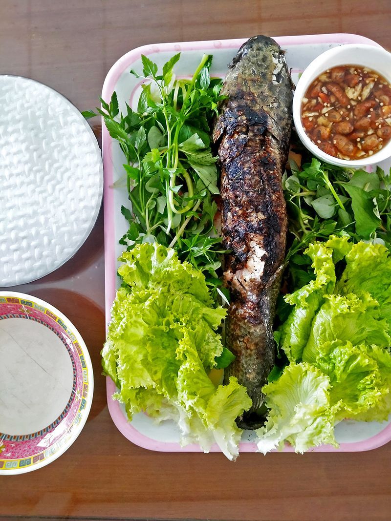 Ca Loc Grilled Snakehead Fish Tien Giang Province - Seize the vibrant spirit of Tien Giang Travel